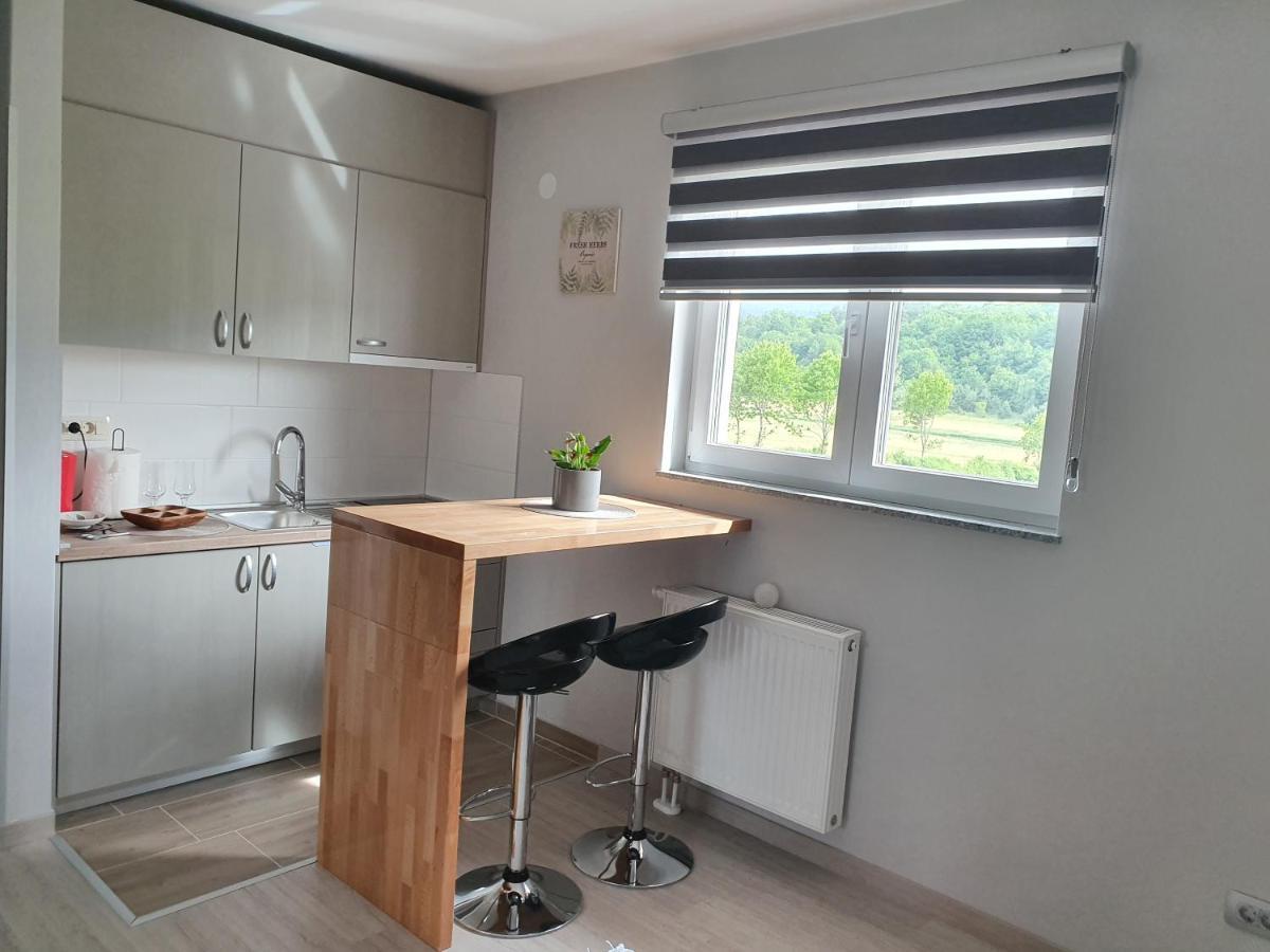 Apartmani Fenestra Otočac Extérieur photo